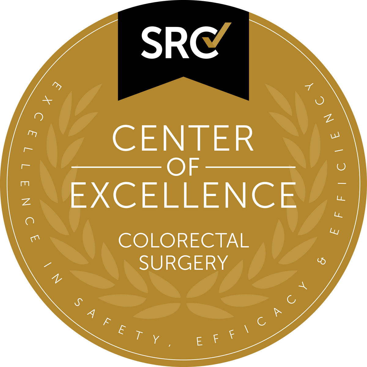 Surgical Review Corporation (SRC) Center of Excellence in Colorectal Surgery